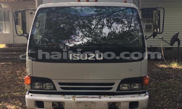 Acheter Import Voiture Isuzu 117 Blanc à Petionville, Ouest