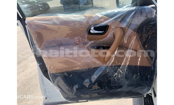 Acheter Import Voiture Nissan Patrol Blanc à Import - Dubai, Artibonite