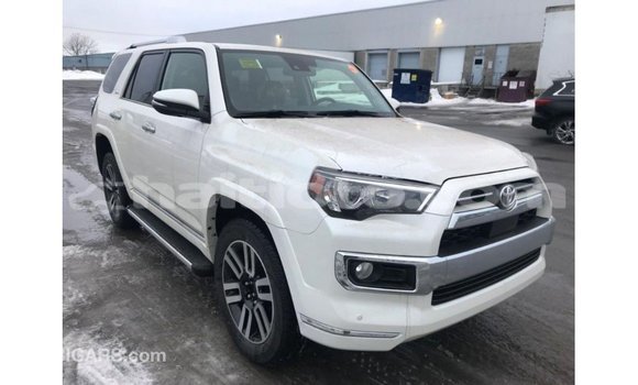 Acheter Import Voiture Toyota 4Runner Blanc à Import - Dubai, Artibonite Acheter Import Voiture Toyota 4Runner Blanc à Import - Dubai, Artibonite