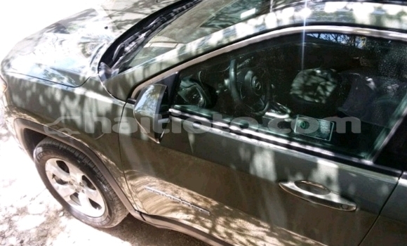 Acheter Occasion Voiture Jeep Compass Vert à Delmas, Ouest