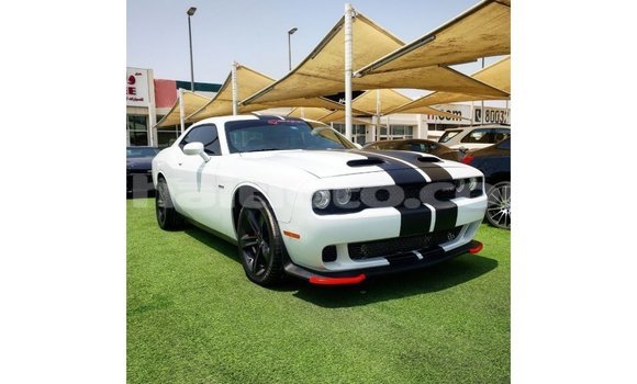 Buy Import Dodge Challenger White Car in Import - Dubai in Artibonite