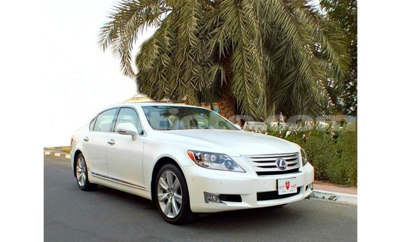 Buy Import Lexus LS White Car in Import - Dubai in Artibonite