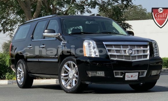 Acheter Import Voiture Cadillac Escalade Noir à Import - Dubai, Artibonite