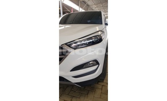 Acheter Import Voiture Hyundai Tucson Blanc à Import - Dubai, Artibonite Acheter Import Voiture Hyundai Tucson Blanc à Import - Dubai, Artibonite