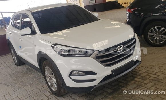 Acheter Import Voiture Hyundai Tucson Blanc à Import - Dubai, Artibonite Acheter Import Voiture Hyundai Tucson Blanc à Import - Dubai, Artibonite