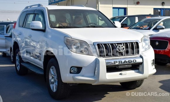 Acheter Import Voiture Toyota Prado Blanc à Import - Dubai, Artibonite Acheter Import Voiture Toyota Prado Blanc à Import - Dubai, Artibonite
