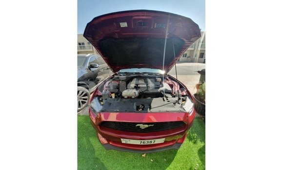 Acheter Import Voiture Ford Mustang Rouge à Import - Dubai, Artibonite Acheter Import Voiture Ford Mustang Rouge à Import - Dubai, Artibonite