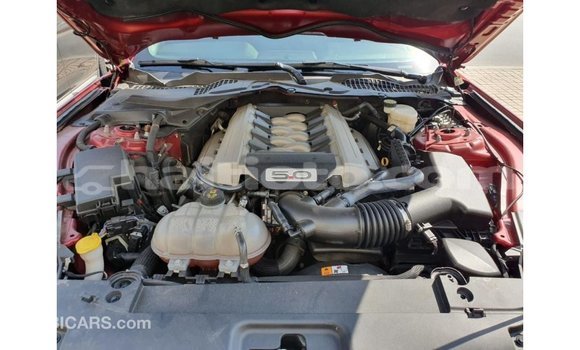 Acheter Import Voiture Ford Mustang Rouge à Import - Dubai, Artibonite Acheter Import Voiture Ford Mustang Rouge à Import - Dubai, Artibonite