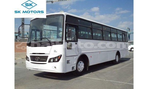 Acheter Import Voiture Tata Xenon Blanc à Import - Dubai, Artibonite