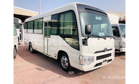 Acheter Import Voiture Toyota Coaster Blanc à Import - Dubai, Artibonite Acheter Import Voiture Toyota Coaster Blanc à Import - Dubai, Artibonite