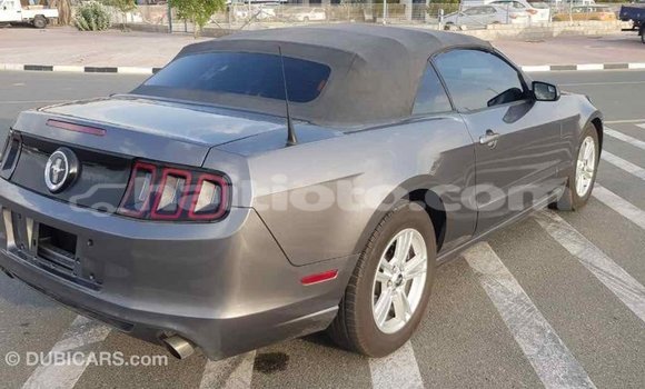 Acheter Import Voiture Ford Mustang Autre à Import - Dubai, Artibonite Acheter Import Voiture Ford Mustang Autre à Import - Dubai, Artibonite