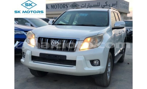 Acheter Import Voiture Toyota Prado Blanc à Import - Dubai, Artibonite