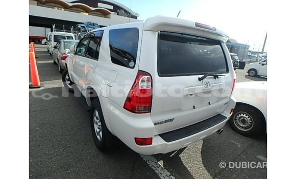 Acheter Import Voiture Toyota Hilux Blanc à Import - Dubai, Artibonite Acheter Import Voiture Toyota Hilux Blanc à Import - Dubai, Artibonite