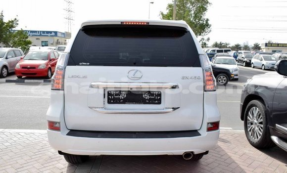 Acheter Import Voiture Lexus GX Blanc à Import - Dubai, Artibonite Acheter Import Voiture Lexus GX Blanc à Import - Dubai, Artibonite