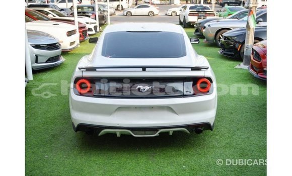 Acheter Import Voiture Ford Mustang Blanc à Import - Dubai, Artibonite Acheter Import Voiture Ford Mustang Blanc à Import - Dubai, Artibonite