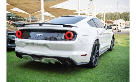 Acheter Import Voiture Ford Mustang Blanc à Import - Dubai, Artibonite Acheter Import Voiture Ford Mustang Blanc à Import - Dubai, Artibonite