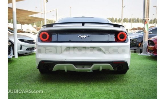 Acheter Import Voiture Ford Mustang Blanc à Import - Dubai, Artibonite Acheter Import Voiture Ford Mustang Blanc à Import - Dubai, Artibonite