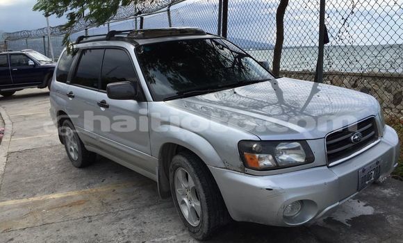 Acheter Occasion Voiture Subaru Forester Gris à Port-au-Prince, Ouest