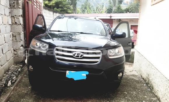Buy New Hyundai Santa Fe Blue Car in Petionville in Ouest