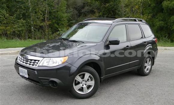 Buy Import Subaru Forester Silver Car in Delmas in Ouest