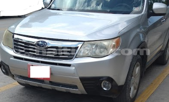 Acheter Occasion Voiture Subaru Forester Gris à Port-au-Prince, Ouest