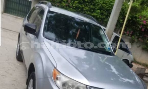 Acheter Occasion Voiture Subaru Forester Gris à Port-au-Prince, Ouest