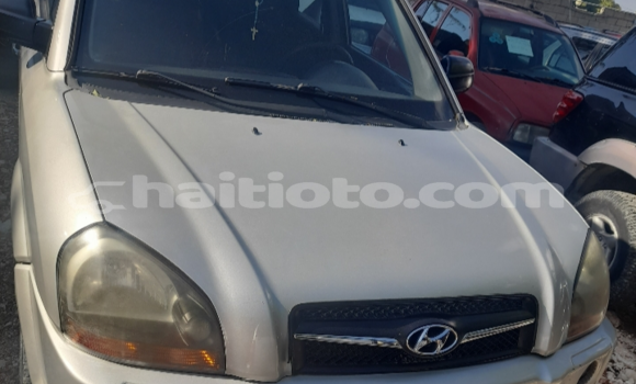 Acheter Occasion Voiture Daihatsu Terios Gris à Petionville, Ouest