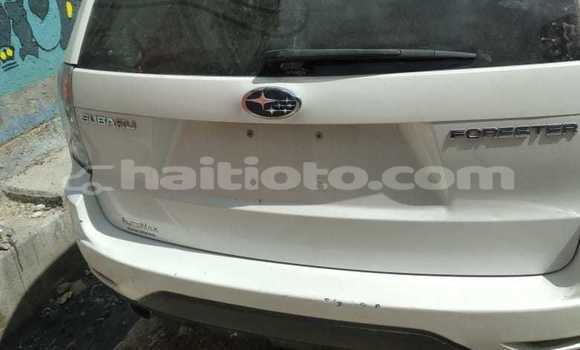 Acheter Occasion Voiture Subaru Forester Blanc à Saint-Marc, Artibonite