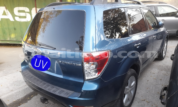 Acheter Occasion Voiture Subaru Forester Bleu à Petionville, Ouest Acheter Occasion Voiture Subaru Forester Bleu à Petionville, Ouest