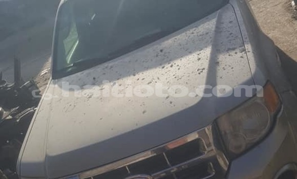 Buy Used Ford Escape Other Car in Aquin in Sud