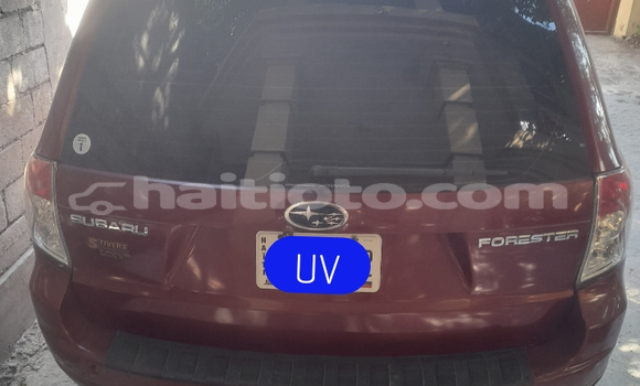 Acheter Occasion Voiture Subaru Forester Vert à Delmas, Ouest Acheter Occasion Voiture Subaru Forester Vert à Delmas, Ouest