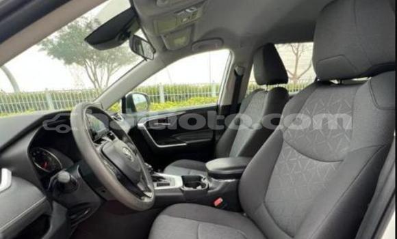 Acheter Occasion Voiture Toyota RAV4 Blanc à Gros-Morne, Artibonite Acheter Occasion Voiture Toyota RAV4 Blanc à Gros-Morne, Artibonite