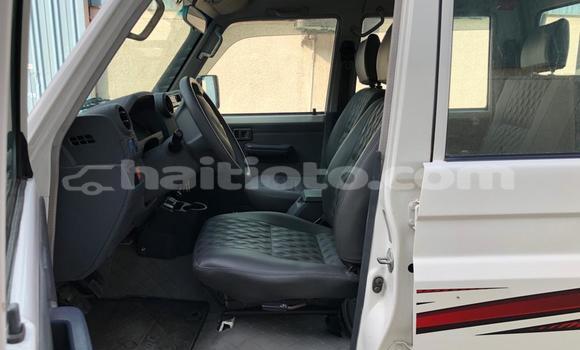 Acheter Occasion Voiture Toyota Land Cruiser Blanc à Port-de-Paix, Nord-Ouest