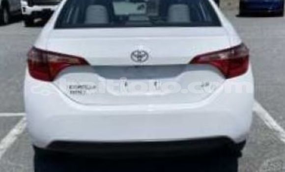 Buy Used Toyota Corolla White Car in Croix-des-Bouquets in Nord