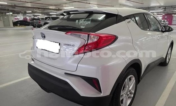 Buy Used Toyota C-HR White Car in Cap-Haitien in Nord Buy Used Toyota C-HR White Car in Cap-Haitien in Nord