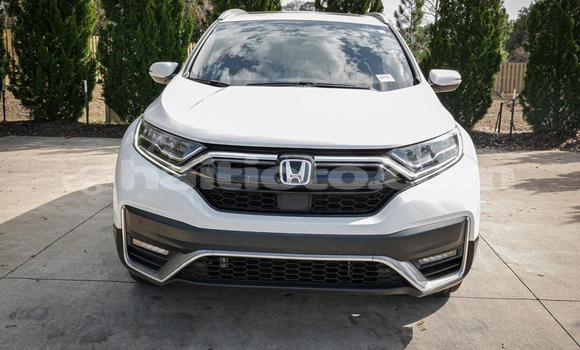 Buy Used Honda CR–V White Car in Cap-Haitien in Nord Buy Used Honda CR–V White Car in Cap-Haitien in Nord