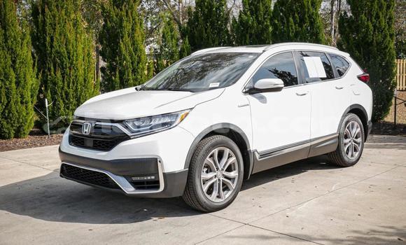 Buy Used Honda CR–V White Car in Cap-Haitien in Nord Buy Used Honda CR–V White Car in Cap-Haitien in Nord