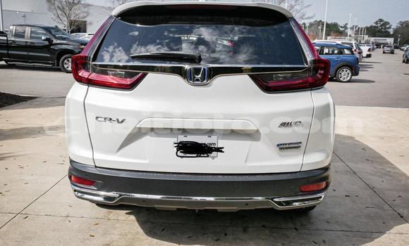 Buy Used Honda CR–V White Car in Cap-Haitien in Nord Buy Used Honda CR–V White Car in Cap-Haitien in Nord