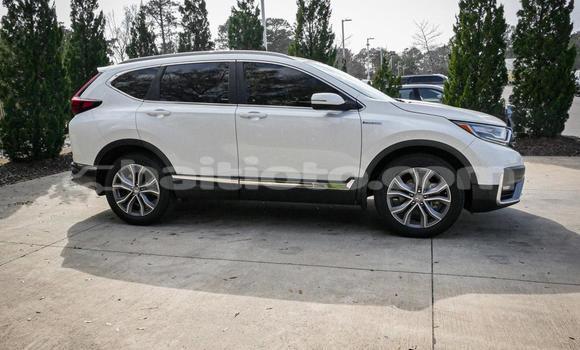 Buy Used Honda CR–V White Car in Cap-Haitien in Nord Buy Used Honda CR–V White Car in Cap-Haitien in Nord