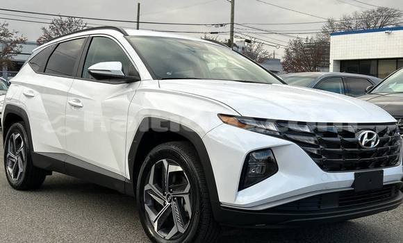 Acheter Occasion Voiture Hyundai Tucson Blanc à Cap-Haitien, Nord