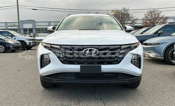 Buy Used Hyundai Tucson White Car in Cap-Haitien in Nord Buy Used Hyundai Tucson White Car in Cap-Haitien in Nord