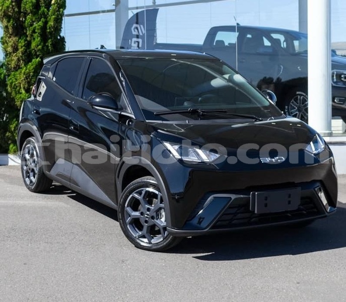 Big with watermark byd s6 nord cap haitien 4134