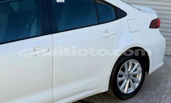 Acheter Occasion Voiture Toyota Corolla Blanc à Cap-Haitien, Nord Acheter Occasion Voiture Toyota Corolla Blanc à Cap-Haitien, Nord