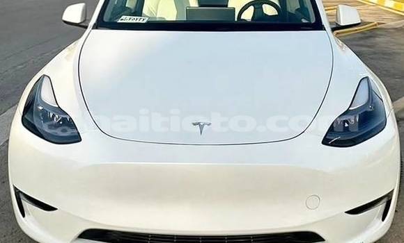 Acheter Occasion Voiture Tesla Model X Blanc à Cap-Haitien, Nord