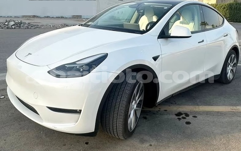Big with watermark tesla model x nord cap haitien 4234