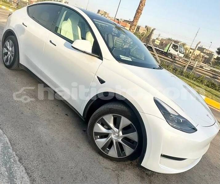 Big with watermark tesla model x nord cap haitien 4234