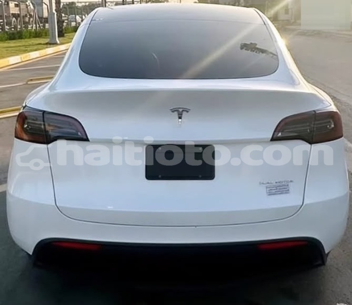 Big with watermark tesla model x nord cap haitien 4234