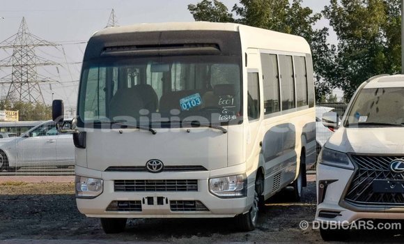 Acheter Import Voiture Toyota Coaster Blanc à Import - Dubai, Artibonite Acheter Import Voiture Toyota Coaster Blanc à Import - Dubai, Artibonite