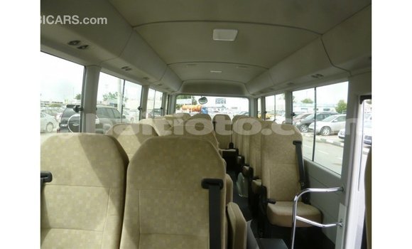 Acheter Import Voiture Toyota Coaster Blanc à Import - Dubai, Artibonite Acheter Import Voiture Toyota Coaster Blanc à Import - Dubai, Artibonite