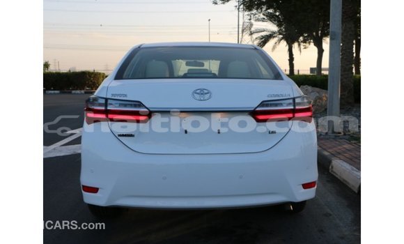 Acheter Import Voiture Toyota Corolla Blanc à Import - Dubai, Artibonite Acheter Import Voiture Toyota Corolla Blanc à Import - Dubai, Artibonite